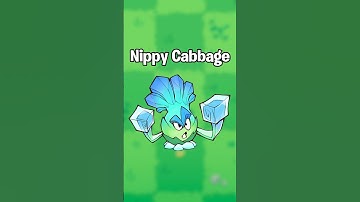 Nippy Cabbage in PvZ3 is a snippy savage (Evolved) #shorts #pvz #pvz3 #pvz2