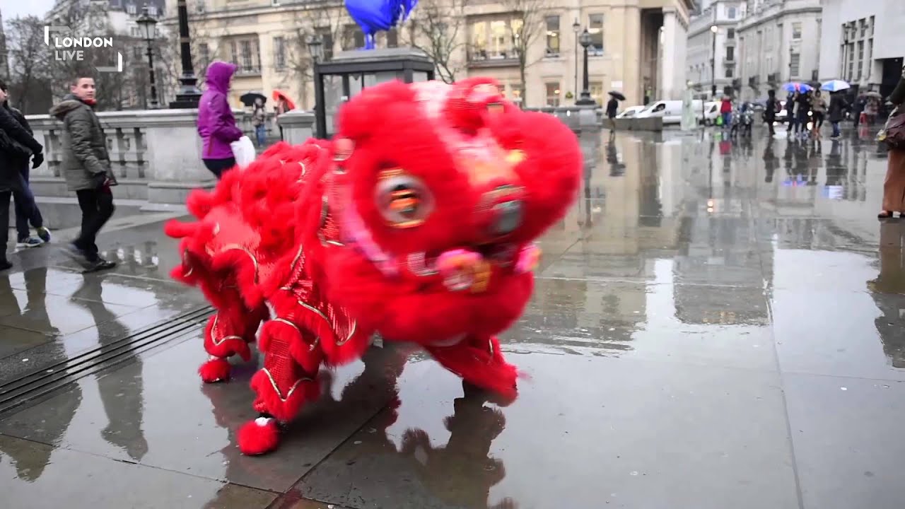 See in the Year of the Sheep with the Lion Dance