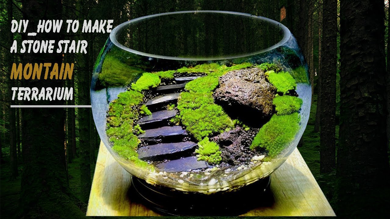 Making a hill view with moss & stone stair open terrarium YouTube