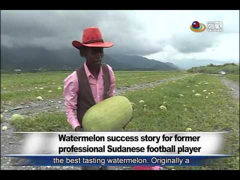 蘇丹人在花蓮玉里成西瓜專家 Watermelon success story for former professional Sudanese football player—宏觀英語新聞