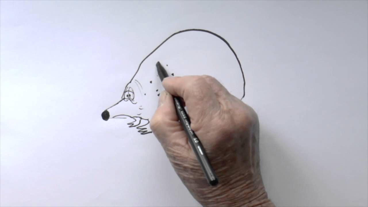 HEDGEHOG HAS A CLOSE SHAVE YouTube