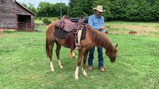 Rodeo’s First Saddle  A Boring Little Video