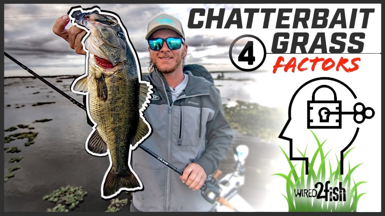 4 Tips to Boost ChatterBait Fishing Success Around Grass YouTube