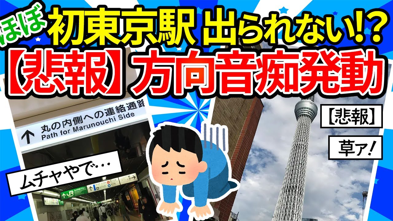 【旅スレ】一人で旅行をゆるゆる実況するスレ【東京一日編】ほぼ初めての東京駅地下から出られなくなる悲劇。郵送したキャリーバッグに入っていたのは…【ゆっくり2ch】