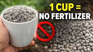 They Don’t Want You to Know This: Replace Fertilizer With This One Simple Mix