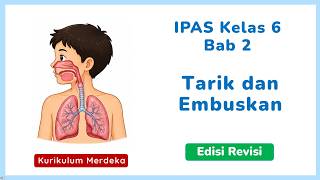 Grade 6 Natural and Social Sciences (IPAS) Chapter 2 Summary: Inhale and Exhale.
