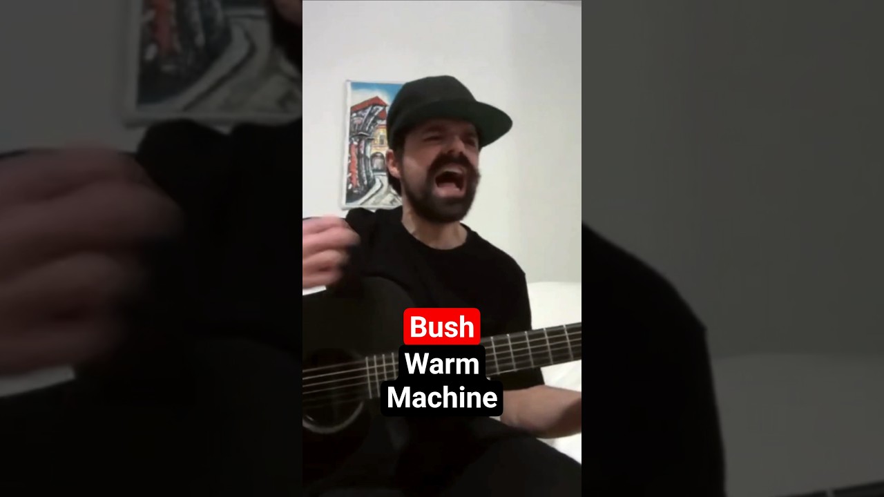 Warm Machine - Bush - Cover 