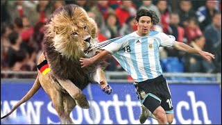 15 Invasiones de Animales En Partidos De Futbol