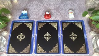 この動画に目が止まった今がタイミング🌟あなたを幸せにする高次からのメッセージ😇💫タロット占い💫オラクルカードリーディング🔮3択🔮ライブ