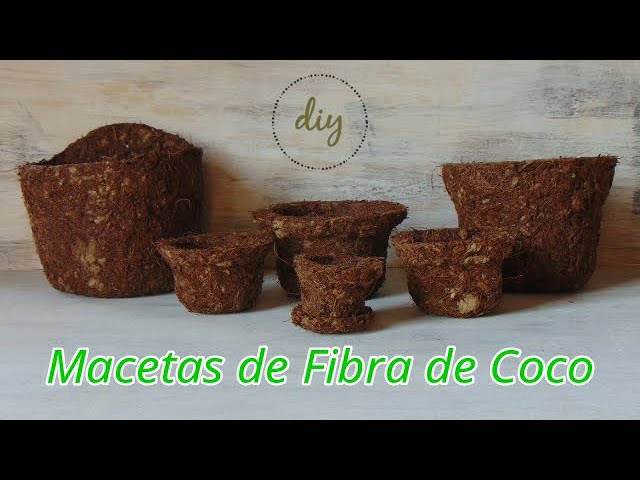 Útil varilla domesticar Como Hacer Macetas de Fibra de Coco, (resubido, audio mejorado) - YouTube