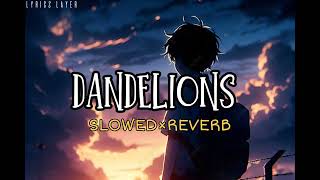 Dandelions Slowed Reverb Lyrics Layer