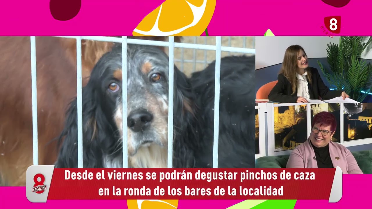 8 Magazine Bierzo 5 Marzo 2026