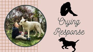 How to Train: Crying Response or Depressive Episode Interruption for Psychiatric Service Dogs
