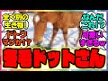 『メイショウドトウ、モフモフすぎる』に対するみんなの反応 まとめ ウマ娘プリティーダービー レイミン