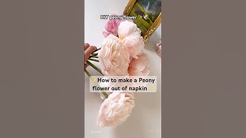 DIY peonies | How to make a peony Flower from paper towels