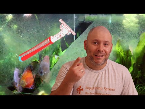 Vídeo: Raspadores magnéticos de aquário: prós e contras