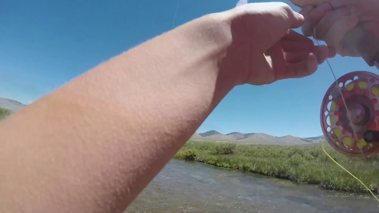 FLY FISHING BIRCH CREEK IDAHO YouTube