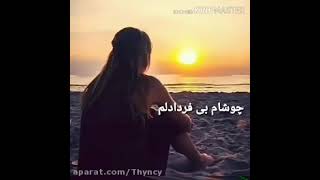 خودم تنها تنها دلم