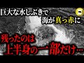 叫び声と共に巨大な水しぶきが上がり、海が真っ赤に。鮫に襲われ、残ったのは上半身の一部だけ…「リトルベイビーチ・ホオジロザメ人食い事件」