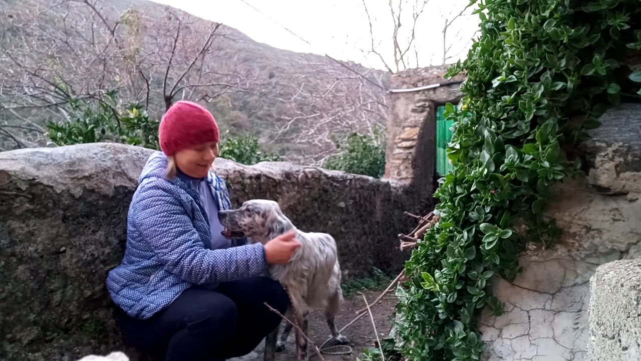 СОБАЧЬЯ ЖИЗНЬ.7 gennaio 2020