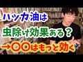 【DaiGo】ハッカ油は虫除け対策になりますか？→もっと効くのは〇〇