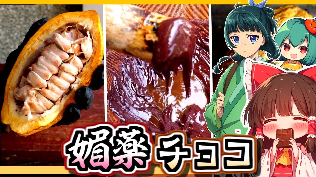 【10日間の挑戦】高級なカカオの実からチョコ作ったら衝撃の味に…🍫😱【薬屋のひとりごと】【料理】【ゆっくり実況】