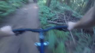 Sunnyside Up Vedder Mountain