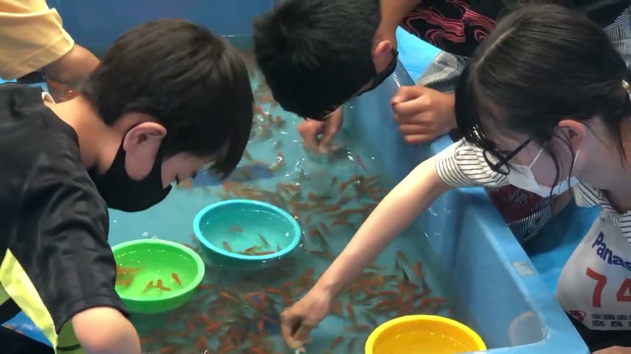 金魚すくい大会 2023年 奈良予選 決勝（第28回 全国金魚すくい選手権大会 小中学生の部）