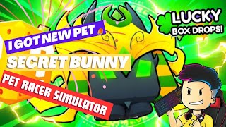 How to Hatch Drake Bunny in Pet Racer Simulator #roblox pet racer