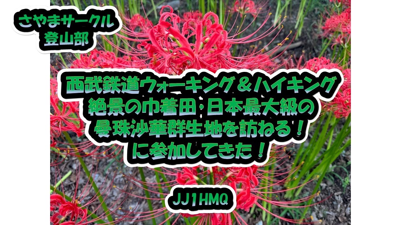 さやまサークル登山部「西武鉄道ウォーキング＆ハイキング　絶景の巾着田・日本最大級の曼珠沙華群生地を訪ねる！に参加してきた！」