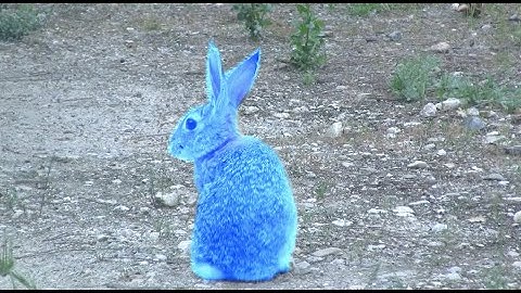 Sam Blasucci - ICE BLUE (Official Music Video)