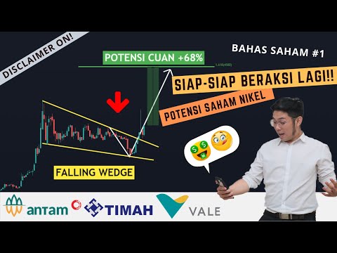 INVESTASI SAHAM NIKEL l POTENSI DAN PROSPEK SAHAM NIKEL (ANTM, TINS, INCO)