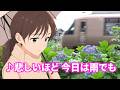 🎵ZARD「悲しいほど 今日は雨でも」小田急線列車映像・あじさい編(2)