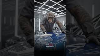 Car Ki Shine Khatam Hone Ka Sabse Bada Reason 😳 |Must Watch! At Cars 360 Raipur