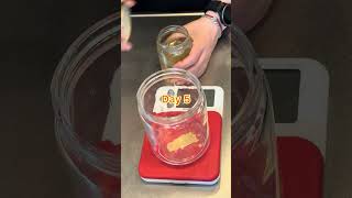 Fuji Apple Sourdough Starter | 9 Days Recap
