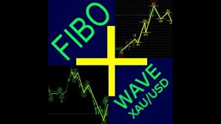 FiboPlusWave XAUUSD eng