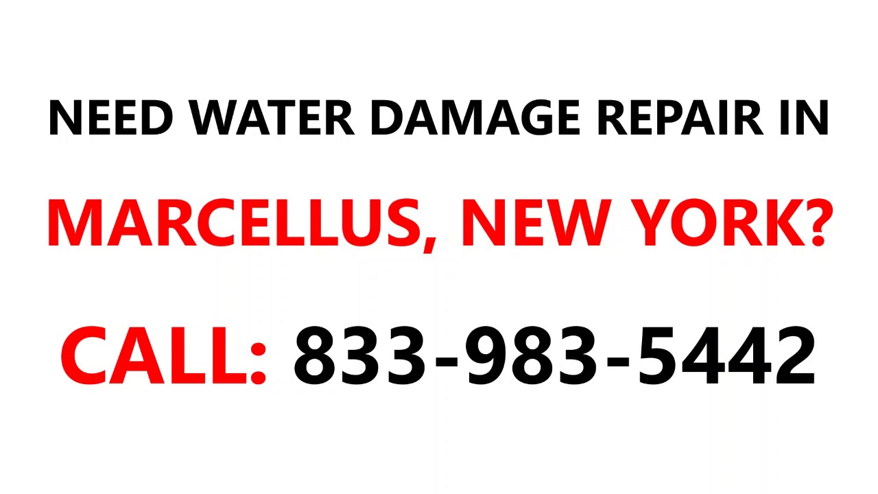 Water damage repair Marcellus, New York NY 8339835442 YouTube