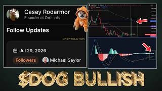 Dog Chart Is Looking Very Bullish Saylor Follows Casey Rodamor