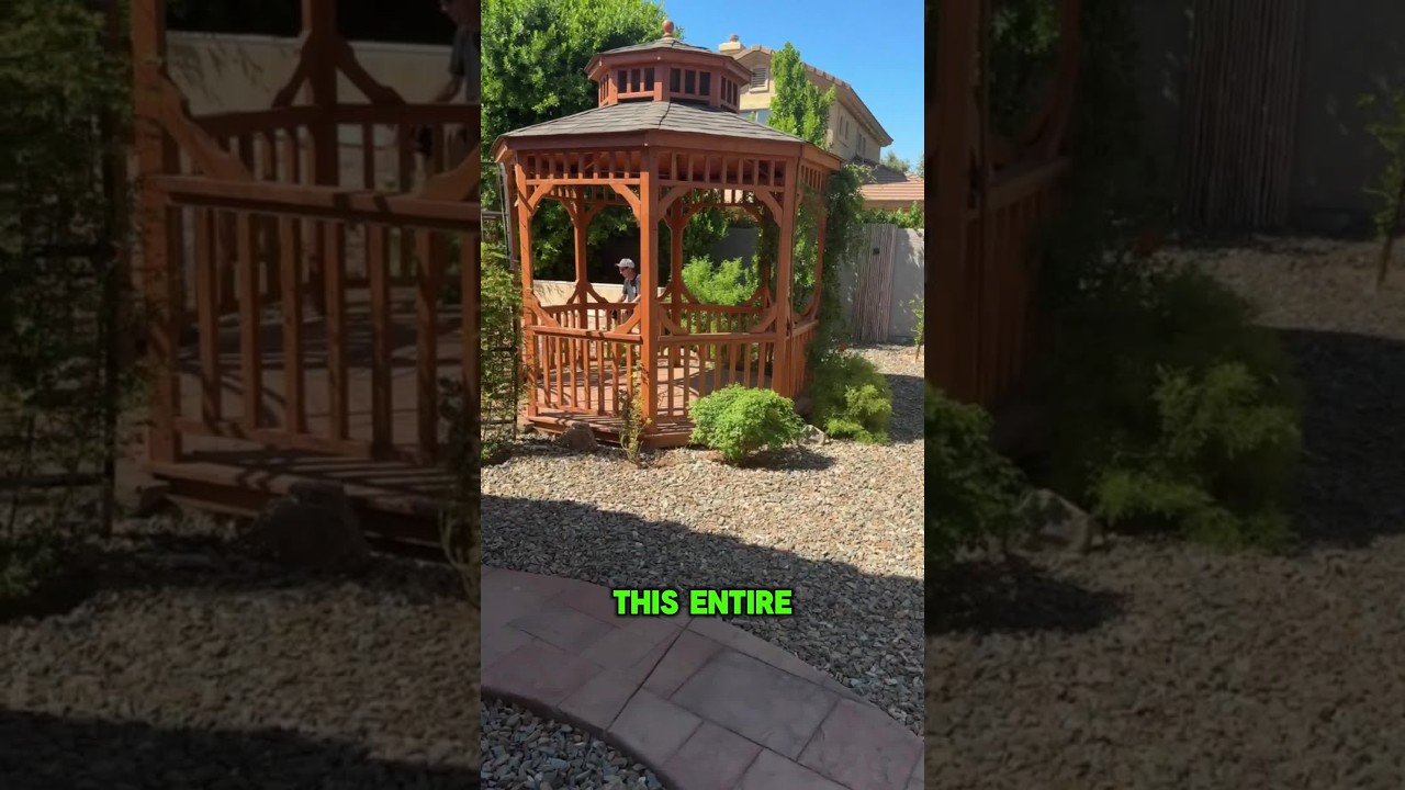 This backyard was only grass 3 years ago?! 🤩