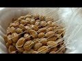 Eating Japanese food "Natto" 納豆