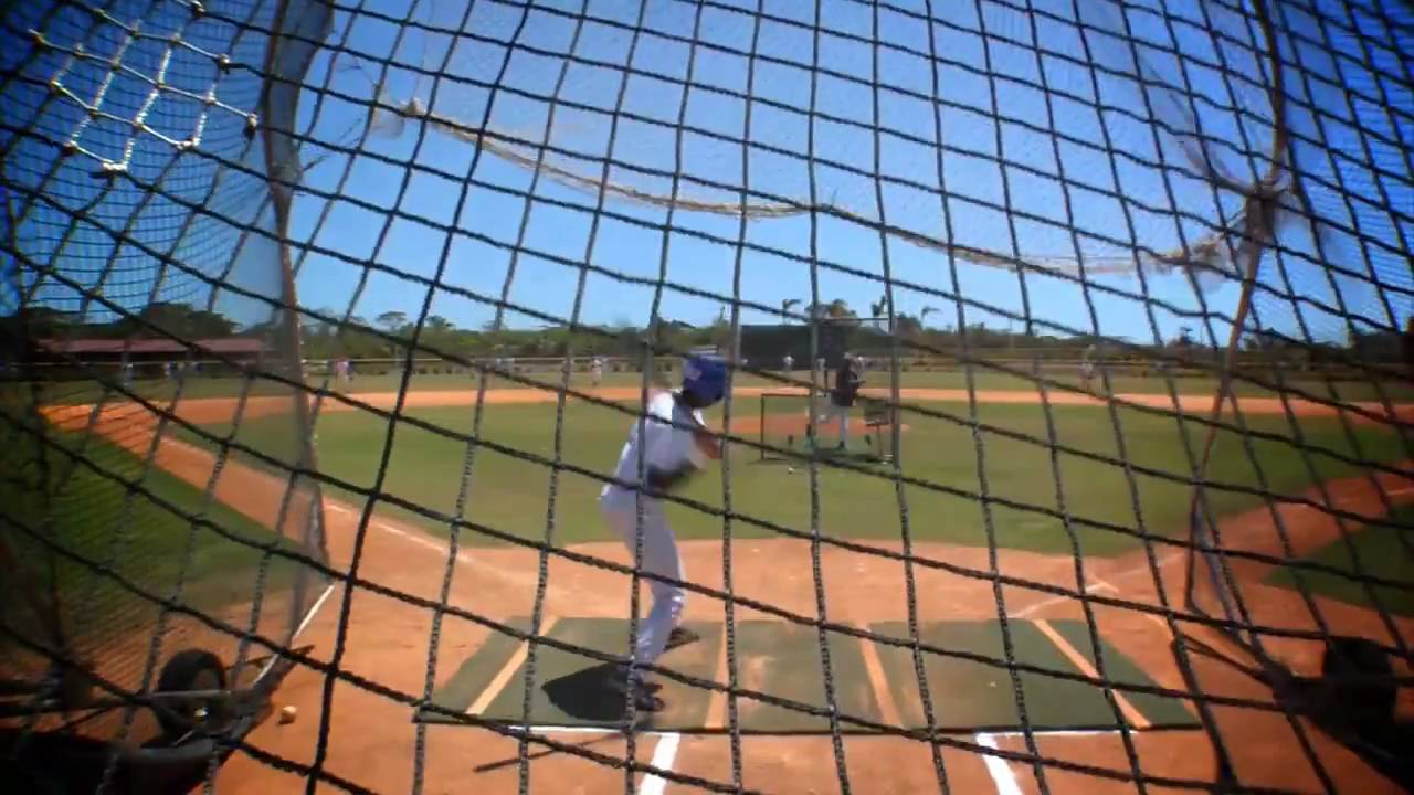2011 DPL Prospect-Franmil Reyes OF