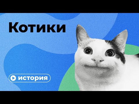 История кошек за 10 минут