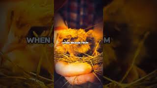 This World There Is No One Who Can Truly Help You