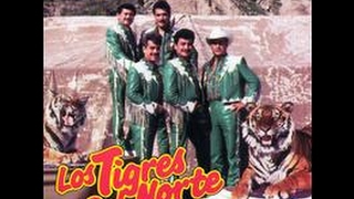 Tigres del Norte Homenaje a los Migrantes