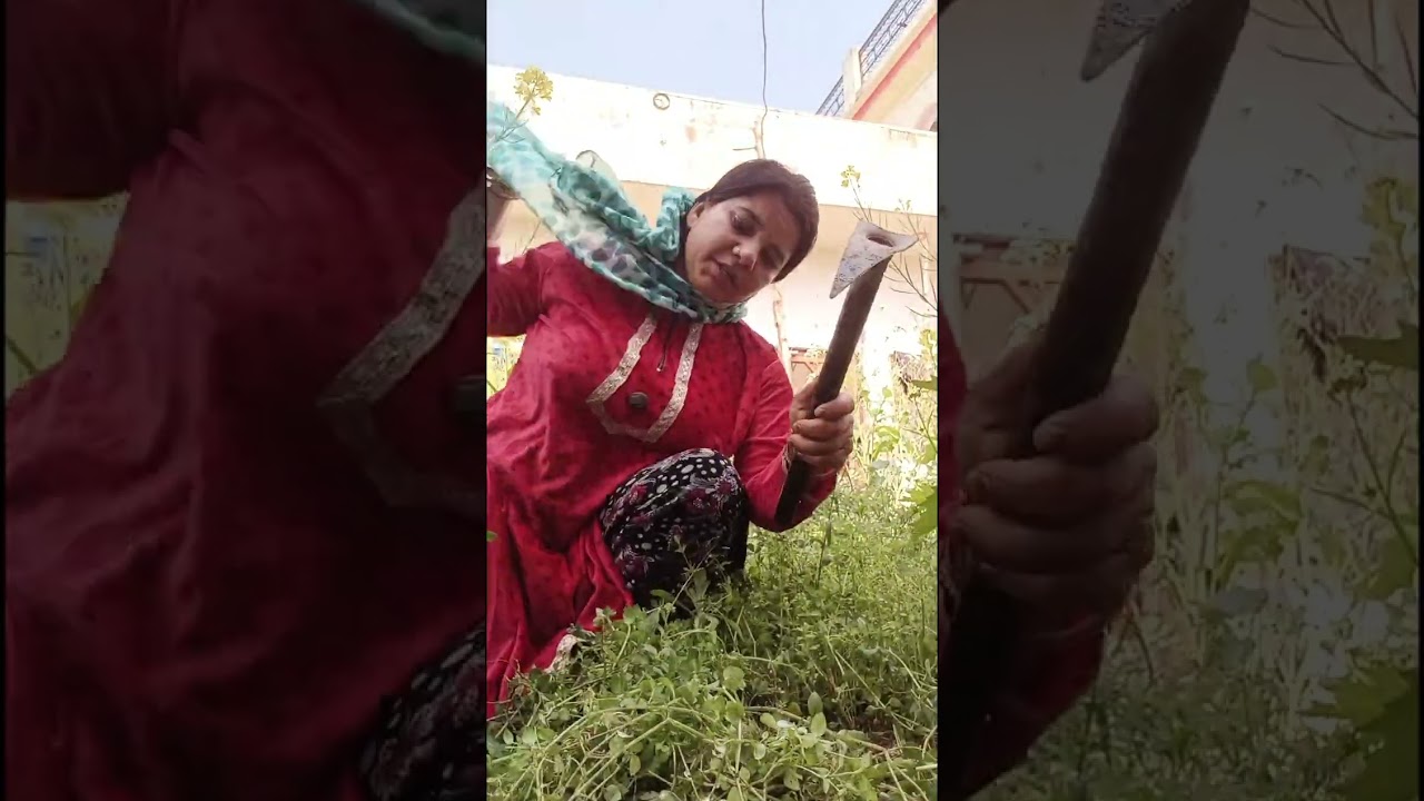 Bagichi Ki Safai karte hue