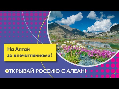 2 На Алтай за впечатлениями! Эфир проекта 