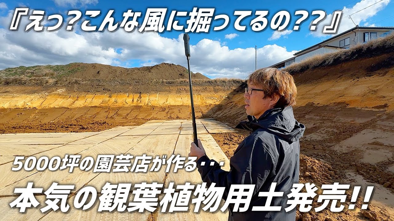 【衝撃の採掘場】万能観葉植物が