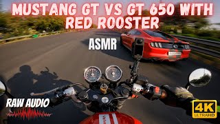 Continental GT 650 RAW sound with Exhaust | ft. Mustang GT | ASMR