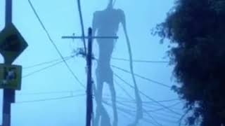 Creepypastasiren Head Captado En Camara