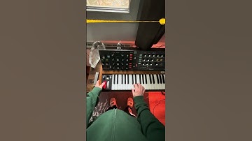 Simplicity is KEY!!! #samplethis #samplethisloop #flstudio